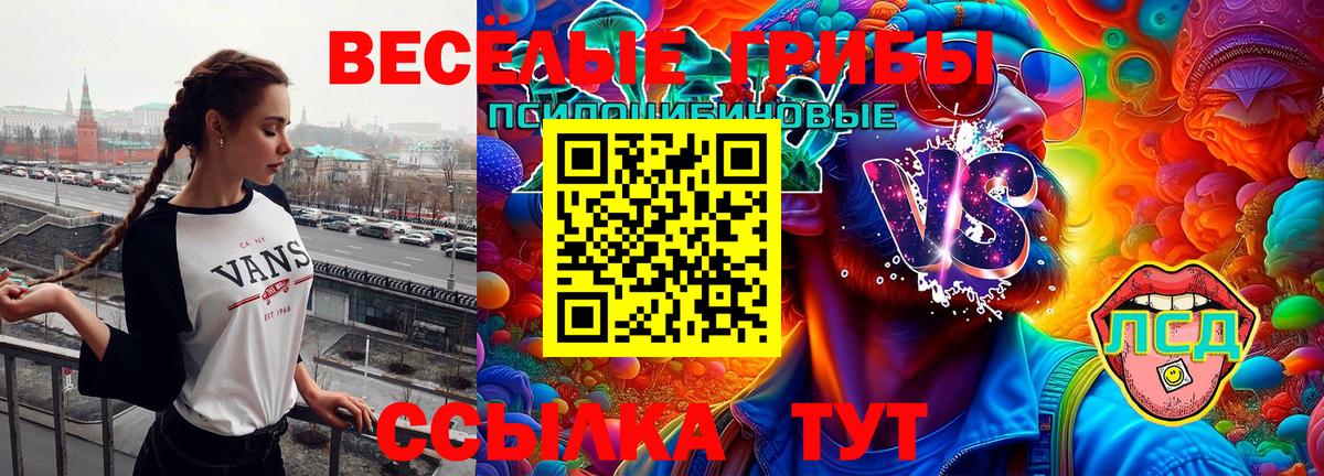 Галлюциногенные грибы Psilocybe  Вход с VPN  Галлюциногенные грибы ЛСД  Егорьевск 